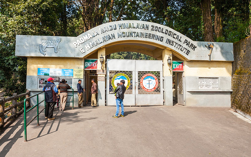 Padmaja Naidu Zoological Park