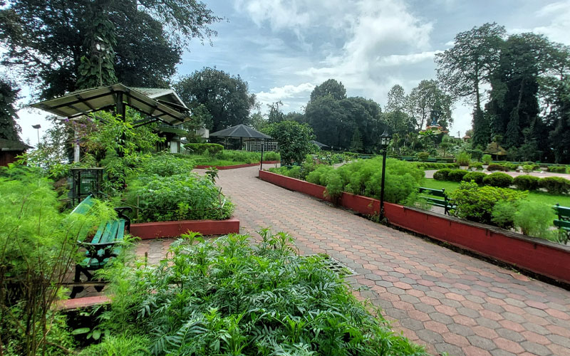 Shrubbery Nightingale Park