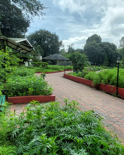 Shrubbery Nightingale Park